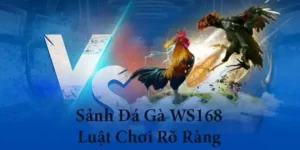 Chuyên Gia Hướng Dẫn Cách Chơi Đá Gà WS168 Tại F8Bet Bất Bại