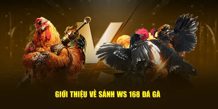 Chuyên Gia Hướng Dẫn Cách Chơi Đá Gà WS168 Tại F8Bet Bất Bại