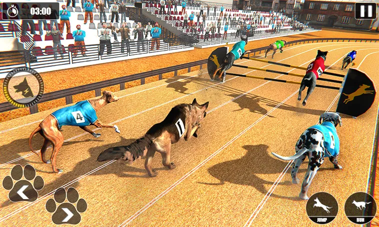 Bật Mí Cách Chơi Game Nhanh Đua Chó Tại F8Bet Từ Cao Thủ 1 Bật Mí Cách Chơi Game Nhanh Đua Chó Tại F8Bet Từ Cao Thủ